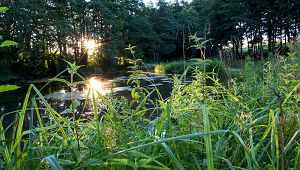 billede-1-faciliteter